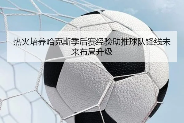 热火培养哈克斯季后赛经验助推球队锋线未来布局升级