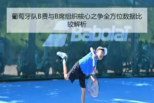葡萄牙队B费与B席组织核心之争全方位数据比较解析（kaiyun）